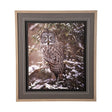 Owl in the Snow by PHBurchett a Framed Photo Art Print Matted under Glass by Mercana at Eve Furniture