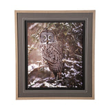 Owl in the Snow by PHBurchett a Framed Photo Art Print Matted under Glass by Mercana at Eve Furniture