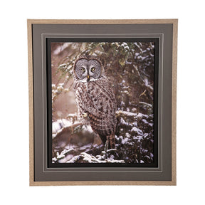 Owl in the Snow by PHBurchett a Framed Photo Art Print Matted under Glass by Mercana at Eve Furniture