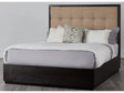 Oxford Upholstered Platform Bed in Toast by Modus Furniture at Eve Furniture