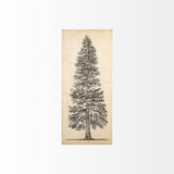 Pacific North West Tree Sketch I by Melissa Wang a Hand Embellished Textured Canvas by Mercana at Eve Furniture