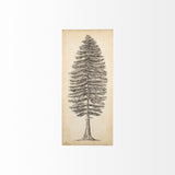 Pacific North West Tree Sketch II by Melissa Wang a Hand Embellished Textured Canvas by Mercana at Eve Furniture