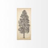 Pacific North West Tree Sketch III by Melissa Wang a Hand Embellished Textured Canvas by Mercana at Eve Furniture
