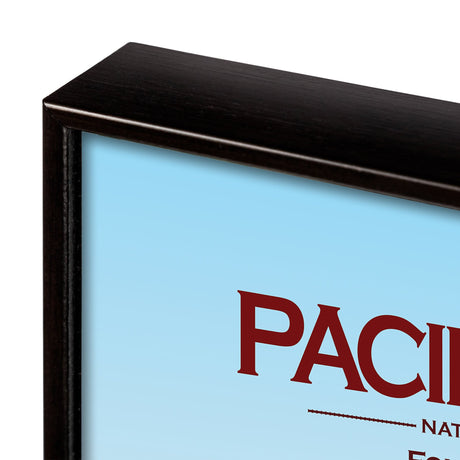 Pacific Rim GO (M) by Mercana Studio a Framed Art Print Matted under Glass by Mercana at Eve Furniture