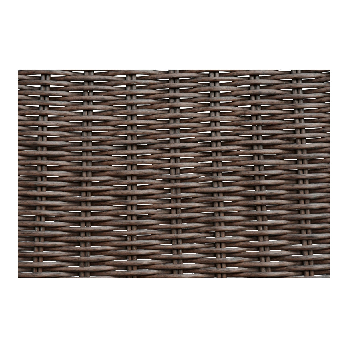 Paige Brown Outdoor Accent Chair by Moe's Home at Eve Furniture