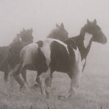 Painted Horses on the Run by Debra Van Swearingen a Hand Embellished Framed Photo Art Print Matted u by Mercana at Eve Furniture