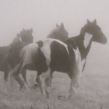 Painted Horses on the Run by Debra Van Swearingen a Hand Embellished Framed Photo Art Print Matted u by Mercana at Eve Furniture