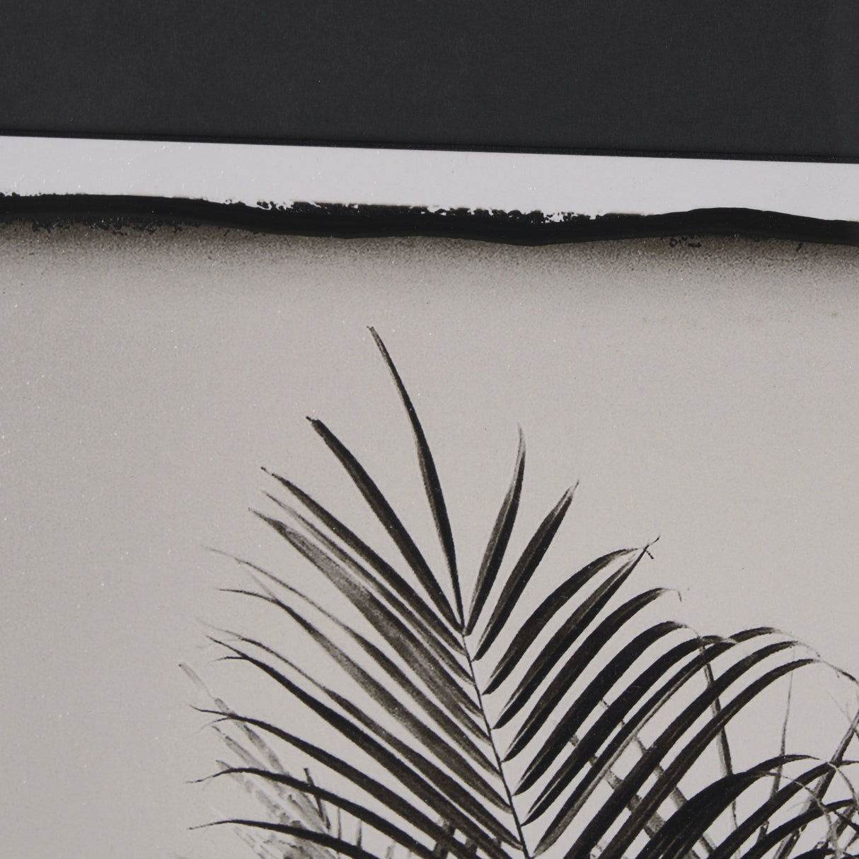 Palm Tree Sepia I by Debra Van Swearingen a Hand Embellished Framed Photo Art Print Matted under Gla by Mercana at Eve Furniture