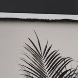 Palm Tree Sepia I by Debra Van Swearingen a Hand Embellished Framed Photo Art Print Matted under Gla by Mercana at Eve Furniture