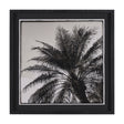 Palm Tree Sepia I by Debra Van Swearingen a Hand Embellished Framed Photo Art Print Matted under Gla by Mercana at Eve Furniture