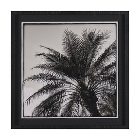 Palm Tree Sepia I by Debra Van Swearingen a Hand Embellished Framed Photo Art Print Matted under Gla by Mercana at Eve Furniture