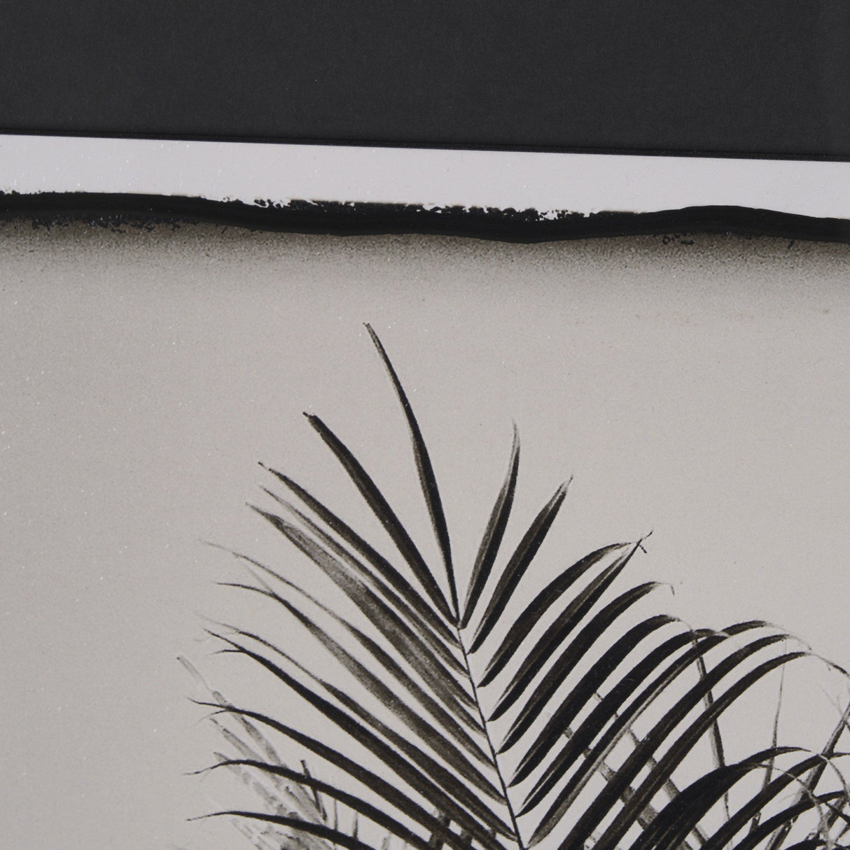 Palm Tree Sepia II by Debra Van Swearingen a Hand Embellished Framed Photo Art Print Matted under G by Mercana at Eve Furniture