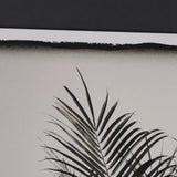 Palm Tree Sepia II by Debra Van Swearingen a Hand Embellished Framed Photo Art Print Matted under G by Mercana at Eve Furniture
