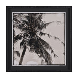 Palm Tree Sepia II by Debra Van Swearingen a Hand Embellished Framed Photo Art Print Matted under G by Mercana at Eve Furniture