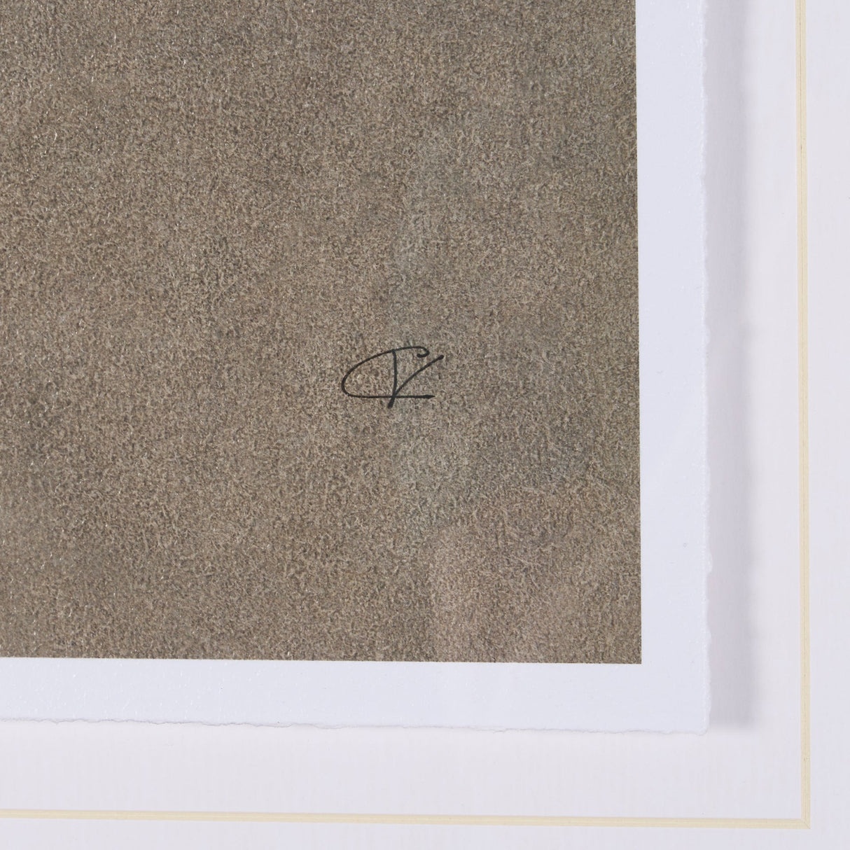 Palomino Blanket by Mercana Studio a Hand Embellished Textured Framed Art Print by Mercana at Eve Furniture