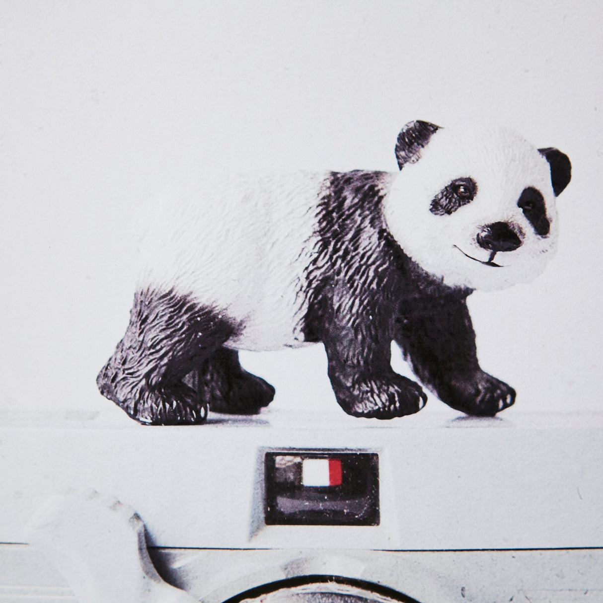 Panda & Vintage Camera by Susannah Tucker Photography a Framed Photo Art Print Matted under Glass by Mercana at Eve Furniture