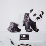 Panda & Vintage Camera by Susannah Tucker Photography a Framed Photo Art Print Matted under Glass by Mercana at Eve Furniture
