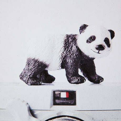 Panda & Vintage Camera by Susannah Tucker Photography a Framed Photo Art Print Matted under Glass by Mercana at Eve Furniture