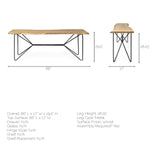 Papillion I 66L x 16W Blonde Wood and Iron Console Table by Mercana at Eve Furniture