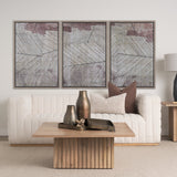 Papyrus Texture I by Mercana Studio a Hand Embellished Textured Framed Canvas by Mercana at Eve Furniture