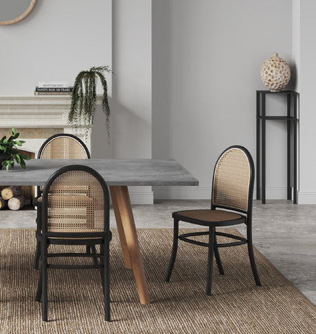 Paragon Dining Chair 2.0 in Black and Cane (set of 2) by Manhattan Comfort at Eve Furniture