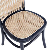 Paragon Dining Chair 2.0 in Black and Cane (set of 2) by Manhattan Comfort at Eve Furniture