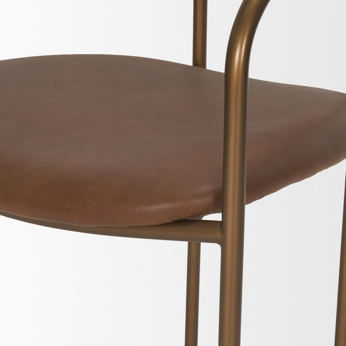 Parker Brown Leather Seat Gold Metal Frame Dining Chair, Set of 2 by Mercana at Eve Furniture