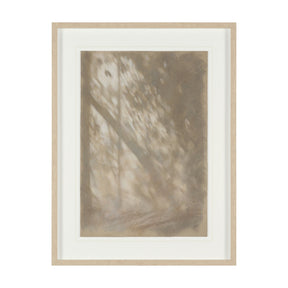 Passing Shadows II by Mercana Studio Framed Artwork Matted under Glass by Mercana at Eve Furniture
