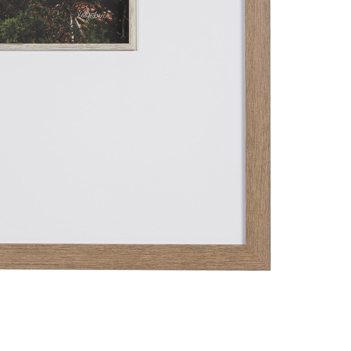 Path to Devil's Bridge by Kelly Frere FramedPhoto Print Matted under Glass by Mercana at Eve Furniture