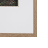 Path to Devil's Bridge by Kelly Frere FramedPhoto Print Matted under Glass by Mercana at Eve Furniture