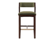Patricia Barstool in Turtle Green by Manhattan Comfort at Eve Furniture