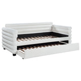 Patricia Boucle Upholstered Twin Day Bed with Trundle White by Coaster at Eve Furniture