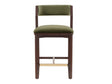 Patricia Counter Stool in Turtle Green by Manhattan Comfort at Eve Furniture