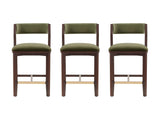 Patricia Counter Stool in Turtle Green (set of 3) by Manhattan Comfort at Eve Furniture