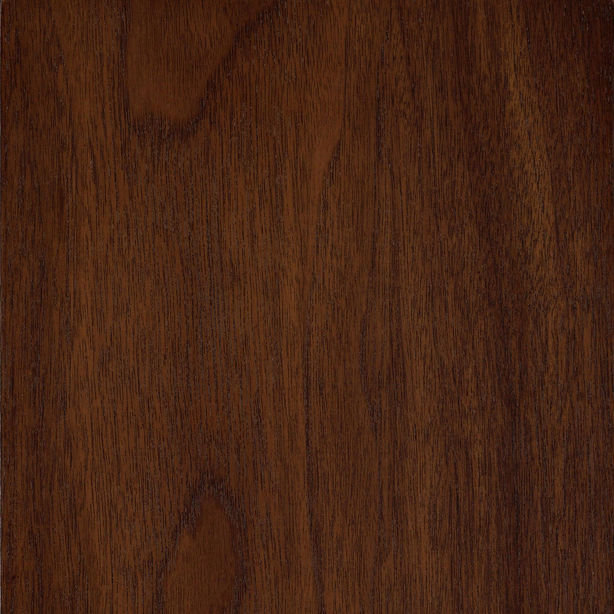 Patterson Mango Oak 5-Piece Counter Height Dining Set by Coaster at Eve Furniture