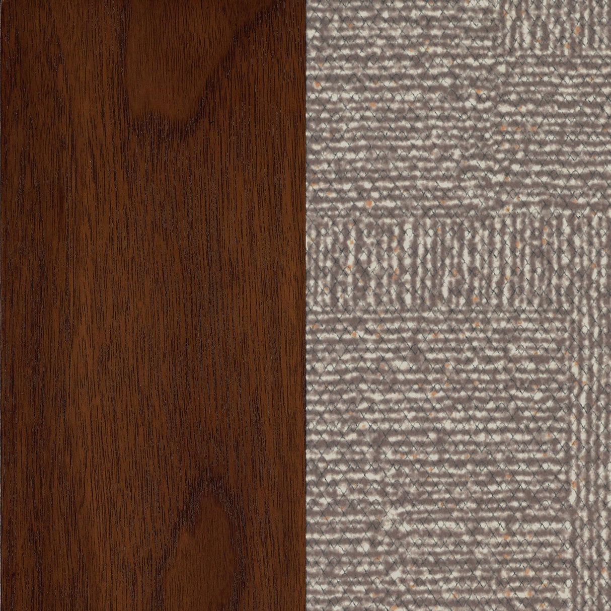 Patterson Upholstered Counter Chair Mango Oak (Set of 2) by Coaster at Eve Furniture