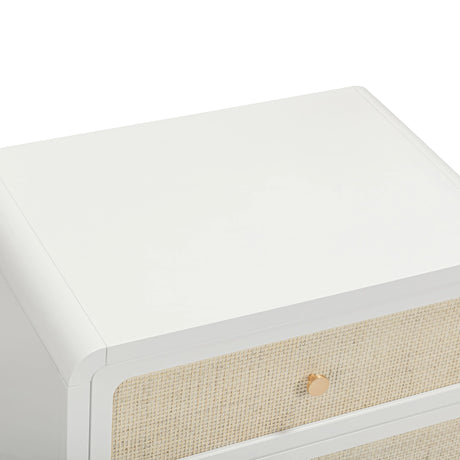 Patty Rattan 2 Drawer Nightstand by TOV Furniture at Eve Furniture