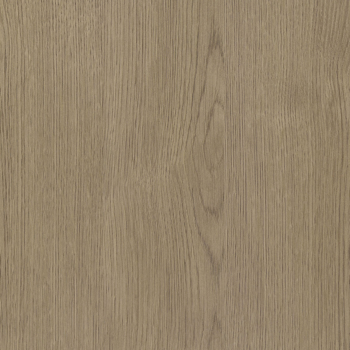 Pavone Latte End Table by Coaster at Eve Furniture