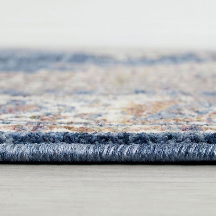 Payas Blue Area Rug