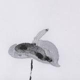 Peace Lily II by Mercana Studio a Hand Embellished Textured Framed Art Print by Mercana at Eve Furniture