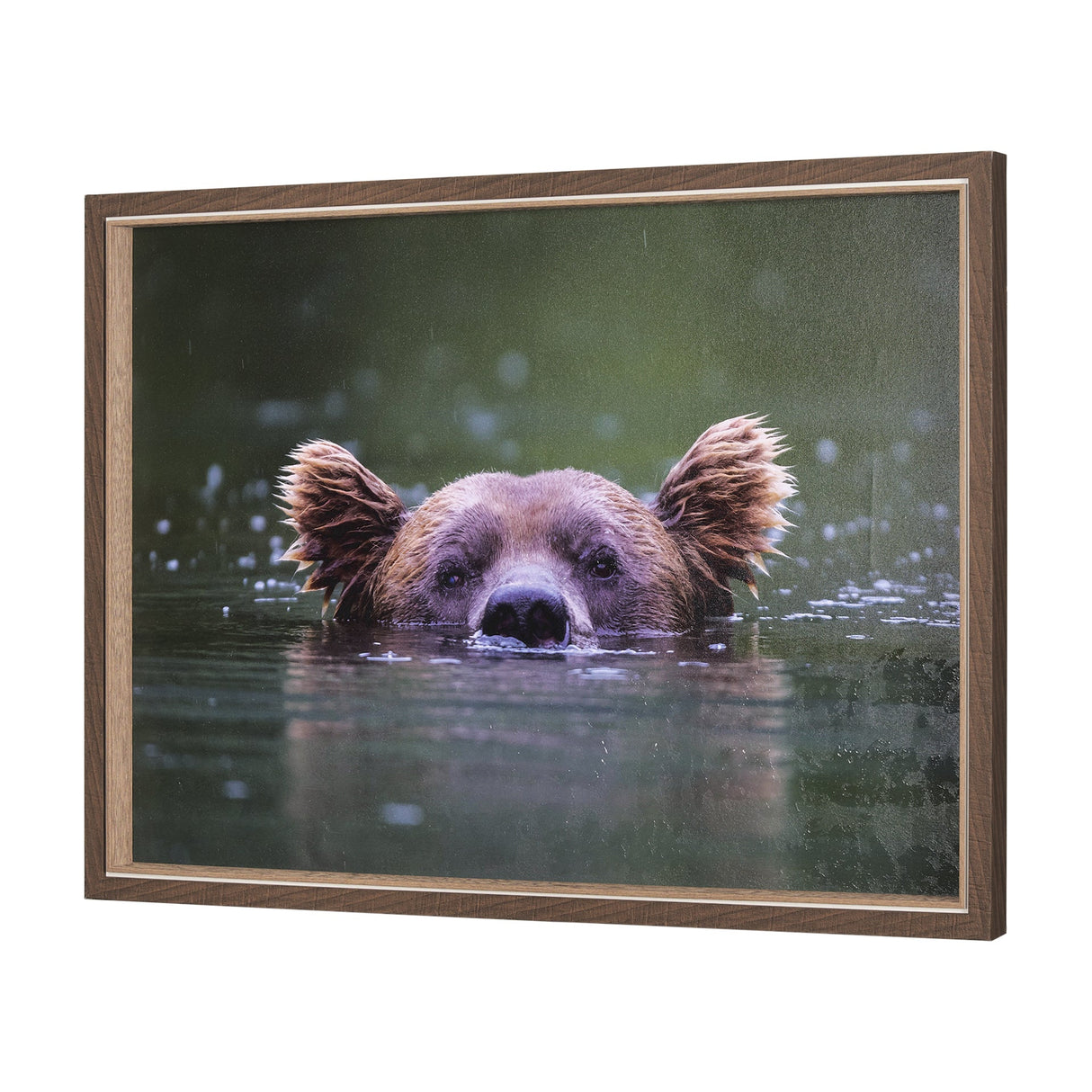 Peeking Out by Mercana Studio a Hand Embellished Textured Framed Photo Art Print by Mercana at Eve Furniture