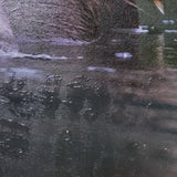 Peeking Out by Mercana Studio a Hand Embellished Textured Framed Photo Art Print by Mercana at Eve Furniture
