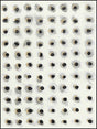 Pele II White Painting Art by Buddy Whitlock by Classic Home at Eve Furniture