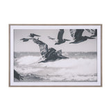 Pelican Beach by Nathan Larson a Hand Embellished Framed Photo Art Print Matted under Glass by Mercana at Eve Furniture
