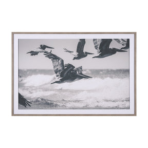 Pelican Beach by Nathan Larson a Hand Embellished Framed Photo Art Print Matted under Glass by Mercana at Eve Furniture