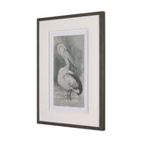 Pelican Sketch by Mercana Studio a Hand Embellished Framed Art Print Matted under Glass by Mercana at Eve Furniture