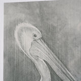 Pelican Sketch by Mercana Studio a Hand Embellished Framed Art Print Matted under Glass by Mercana at Eve Furniture