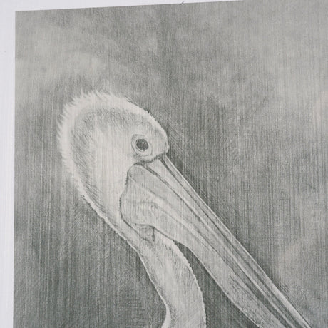 Pelican Sketch by Mercana Studio a Hand Embellished Framed Art Print Matted under Glass by Mercana at Eve Furniture