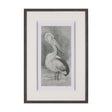 Pelican Sketch by Mercana Studio a Hand Embellished Framed Art Print Matted under Glass by Mercana at Eve Furniture