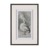 Pelican Sketch by Mercana Studio a Hand Embellished Framed Art Print Matted under Glass by Mercana at Eve Furniture